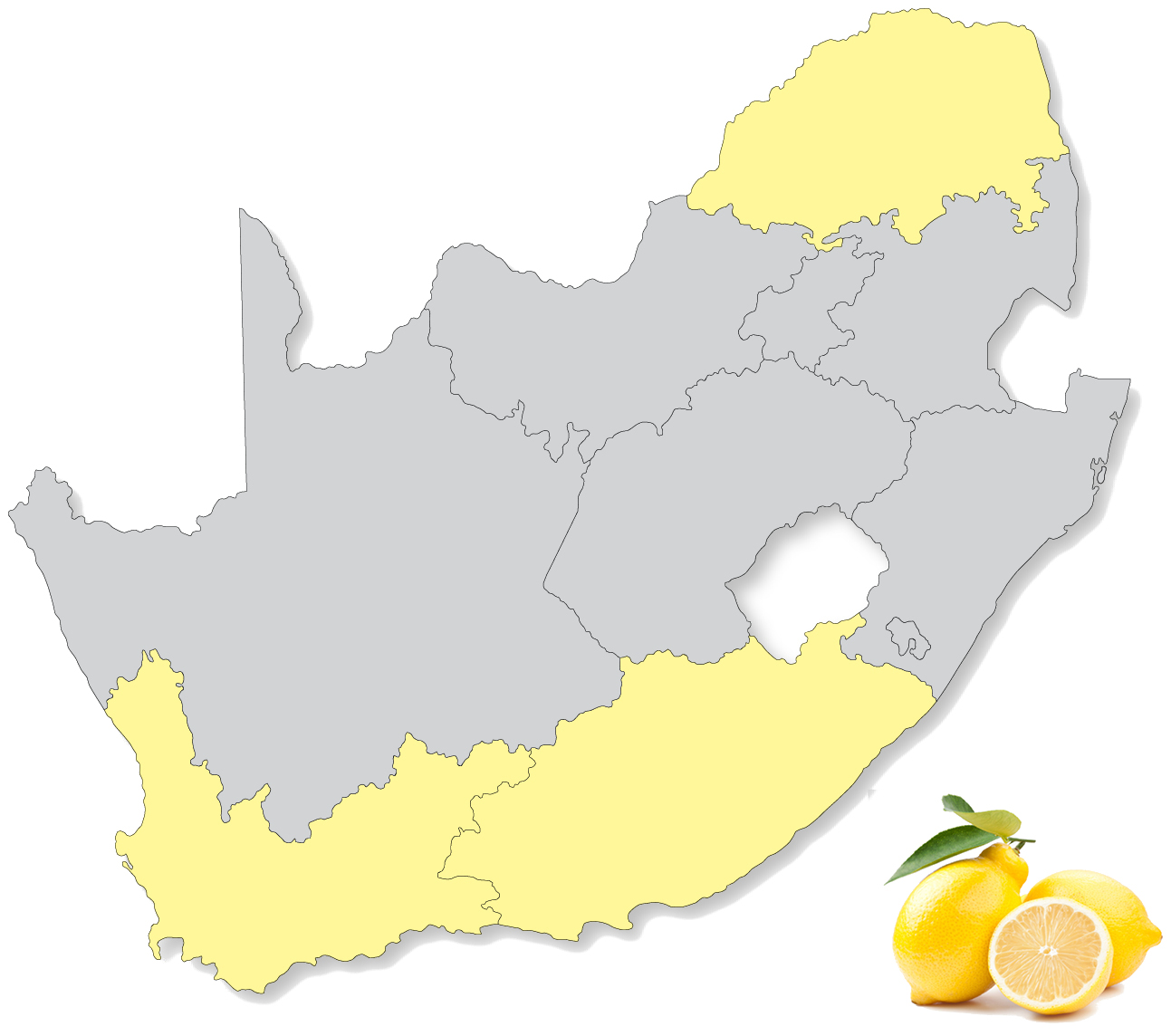 Products SAFE South African Fruit Exporters SAFE South Africa.